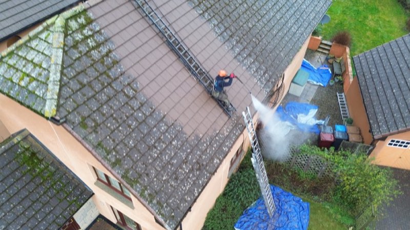Soft-washing moss and algae from a residential roof